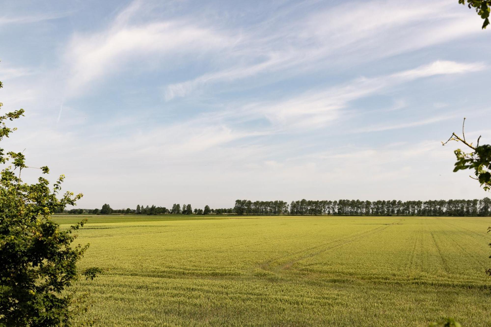Hof Van Maldegem コルトゲーネ エクステリア 写真