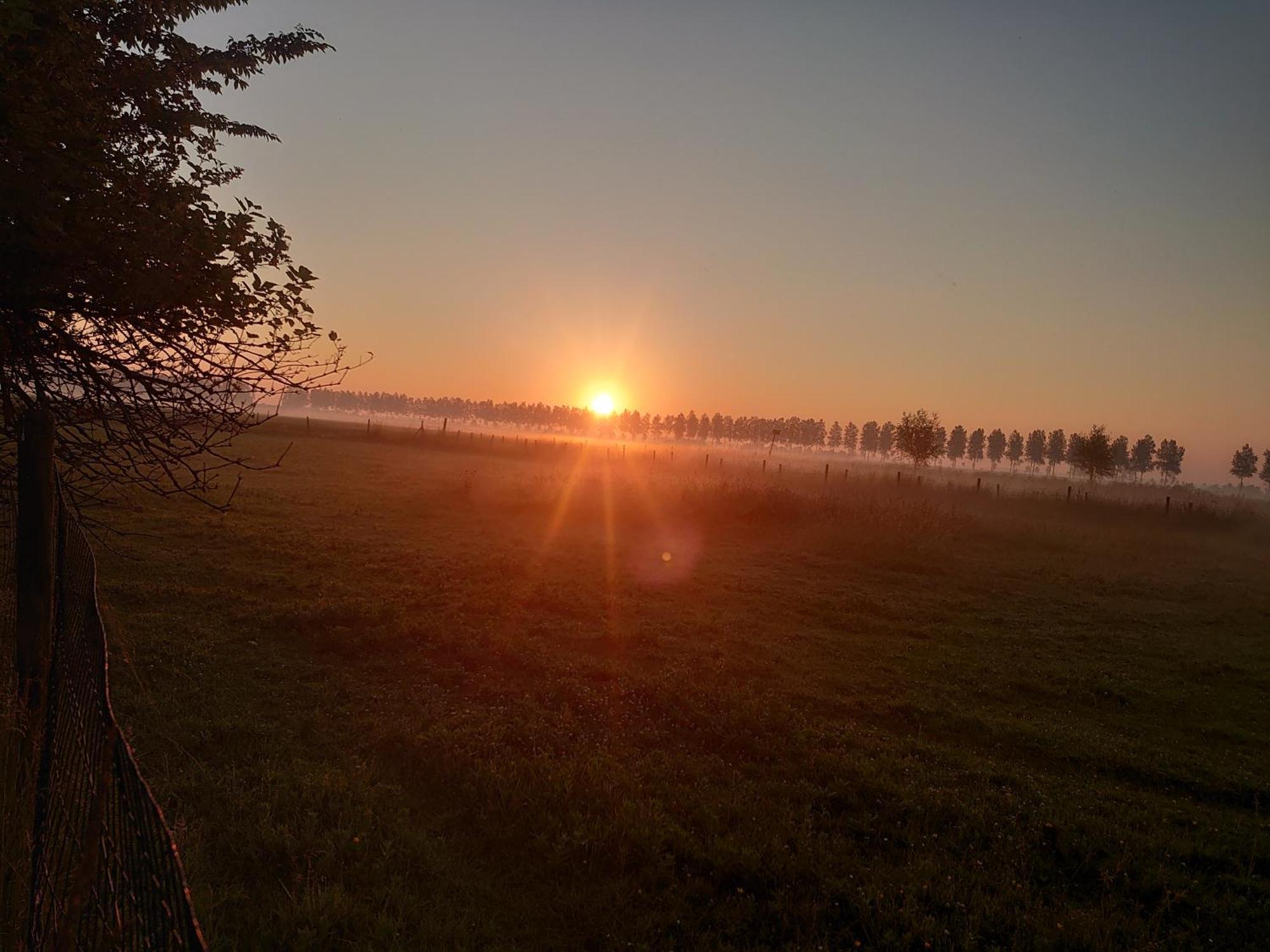 Hof Van Maldegem コルトゲーネ エクステリア 写真